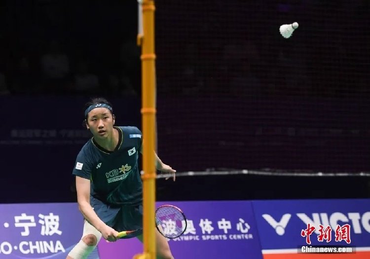 入了新的动 入了新的动