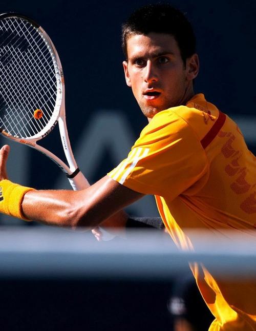 平等参与体 平等参与体